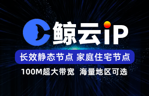 鲸云IP-使用教程